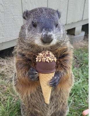 SirScoopsAlot